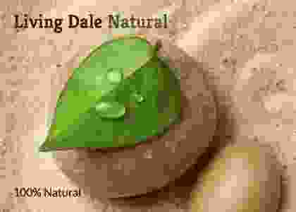 Cardinal Tender Shore